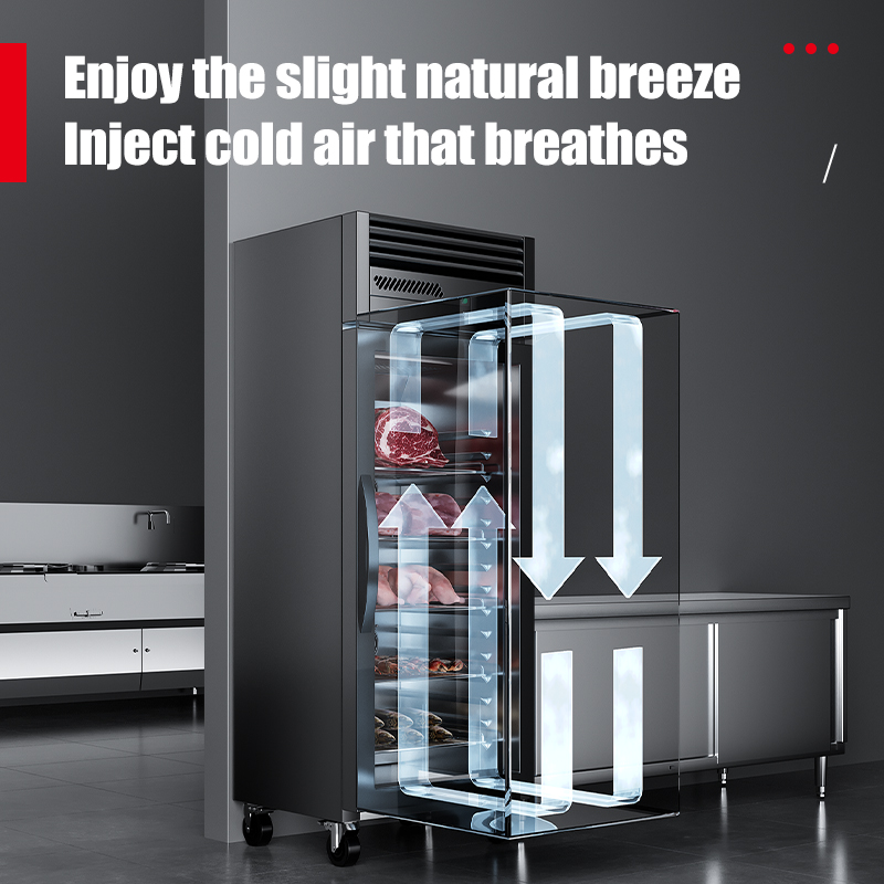 Armadio Elettrostatico Intelli - Commercial Kitchen Cabinet recensione e prezzo