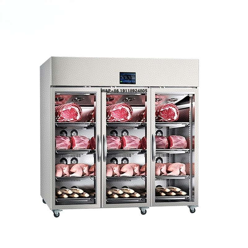 Armadio Scongelatore per Carne - Commercial Kitchen Cabinet recensione e prezzo