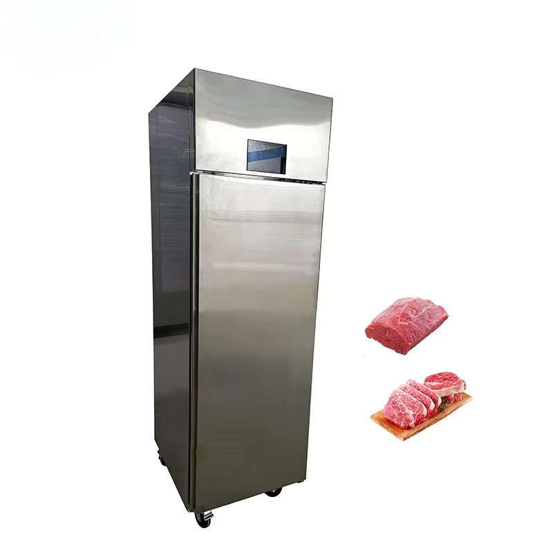 Armadio Scongelatore per Carne - Commercial Kitchen Cabinet recensione e prezzo